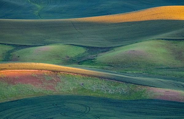 Gulin, Sylvia 아티스트의 USA-Washington State-Palouse and Steptoe Butte State Park view of Wheat fields last light작품입니다.